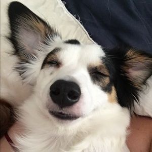 Meet your Posher, Leslie